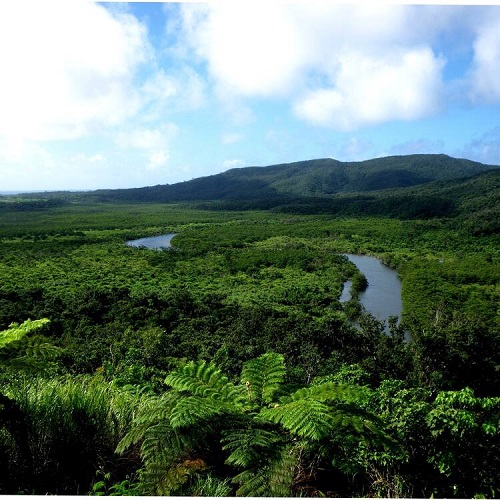 Amami-Oshima Island, Tokunoshima Island, Northern part of Okinawa Island, and Iriomote Island_sjyc2021000001a.jpg