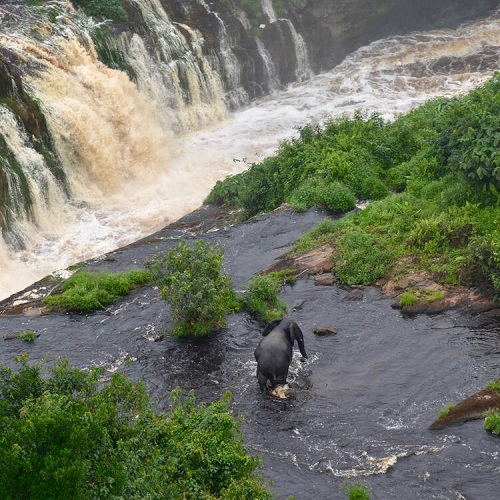 Ivindo National Park_sjyc2021000014a.jpg