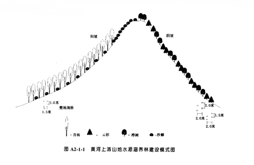 黄河上游山地水源涵养林建设模式_P26.JPG