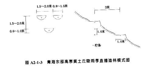 青海东部高寒黄土丘陵雨季直播造林模式_P29.JPG