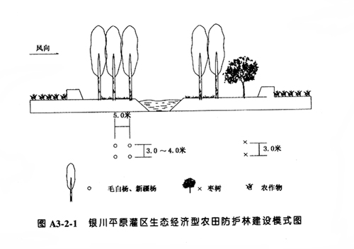 银川平原灌区生态经济型农田防护林建设模式_P39.JPG